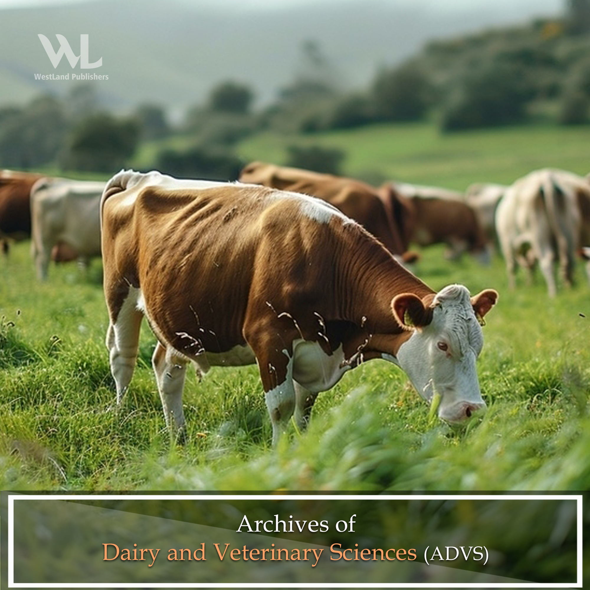 Archives of Dairy and Veterinary Sciences (ADVS)